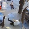 Çarptı, 2 metre havaya savurdu; yaralıya değil, hasara baktı! Sürücüden pes dedirten davranış