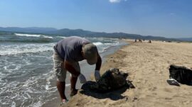 Ölü Deniz Kaplumbağası Kıyıya Vurdu