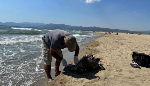 Ölü Deniz Kaplumbağası Kıyıya Vurdu